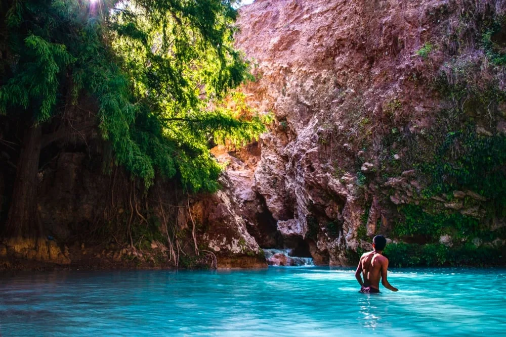 Cascada rodeada de vegetación