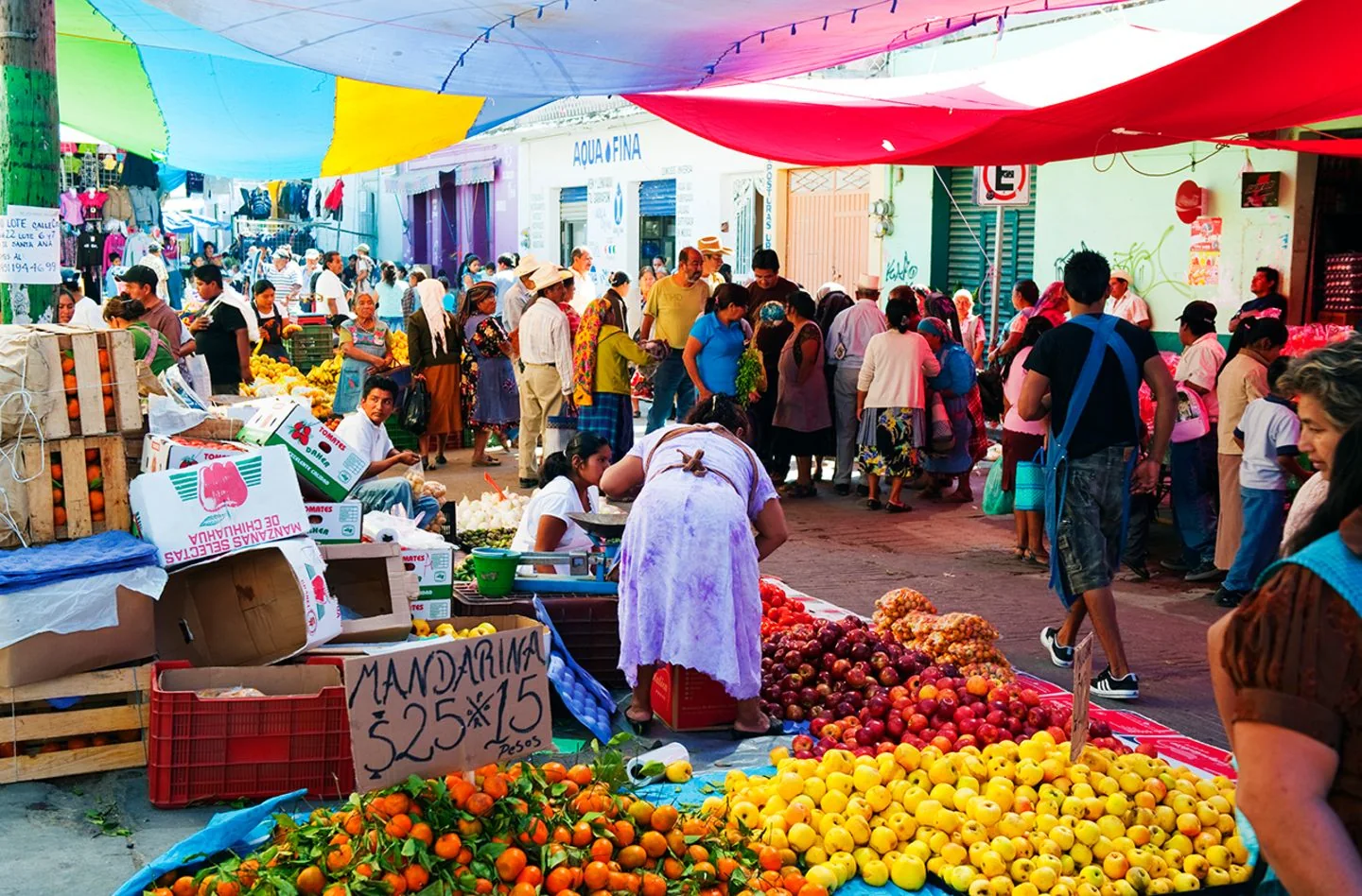 Puestos y colores del mercado de Tlacolula