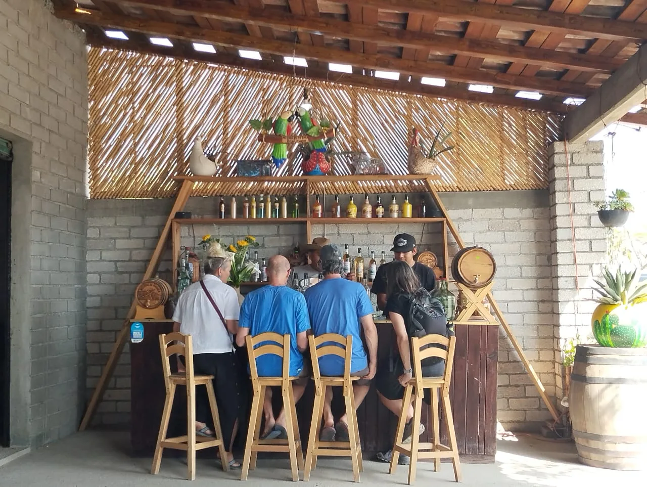 Visita a palenque de mezcal en Santiago Matatlán, Oaxaca.